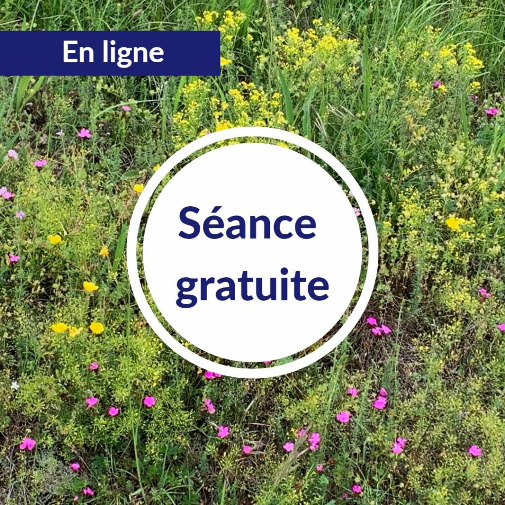 meditation pleine conscience gratuit